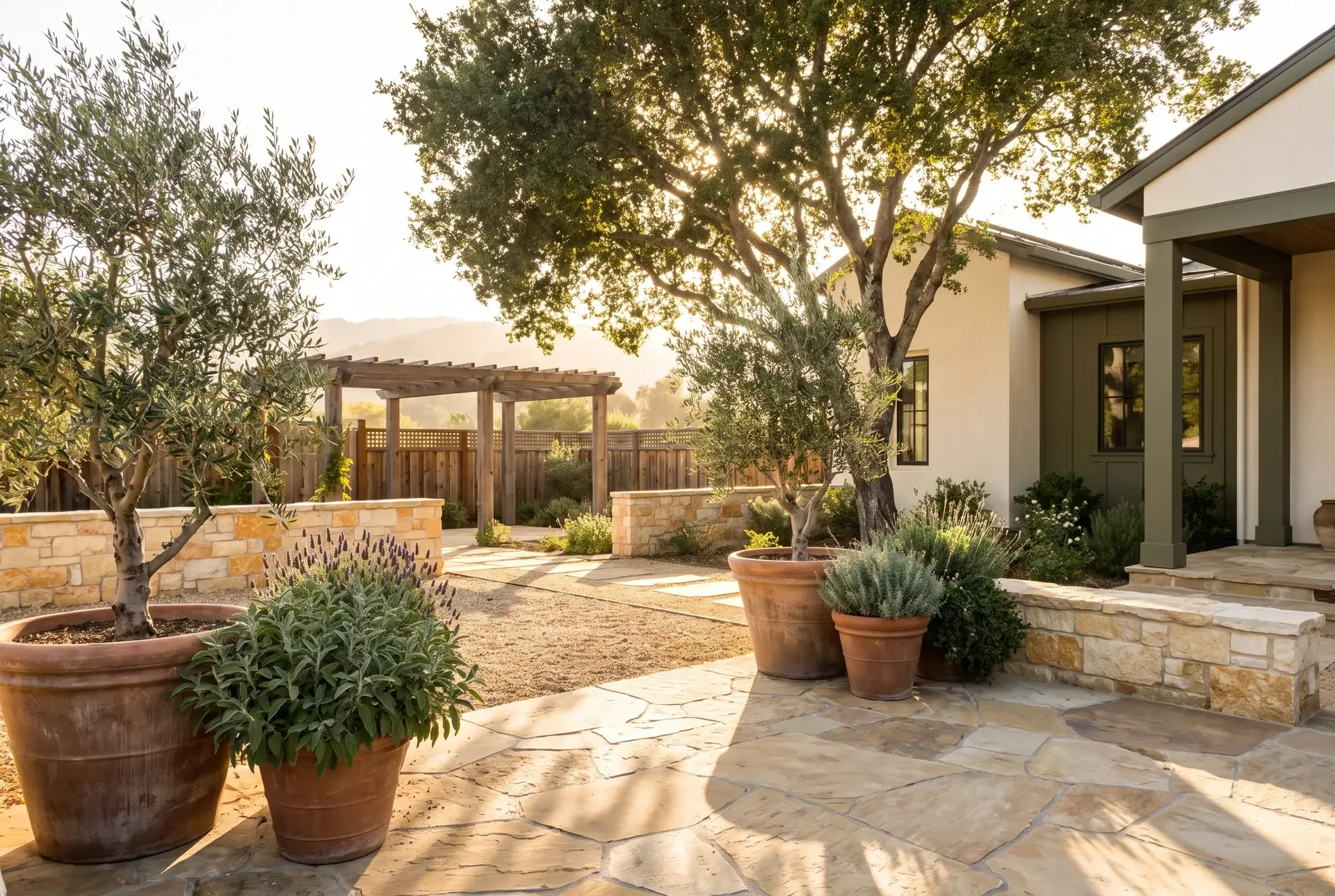 Warm natural stone patio with permeable pavers, olive trees and sage planting in a South Bay backyard